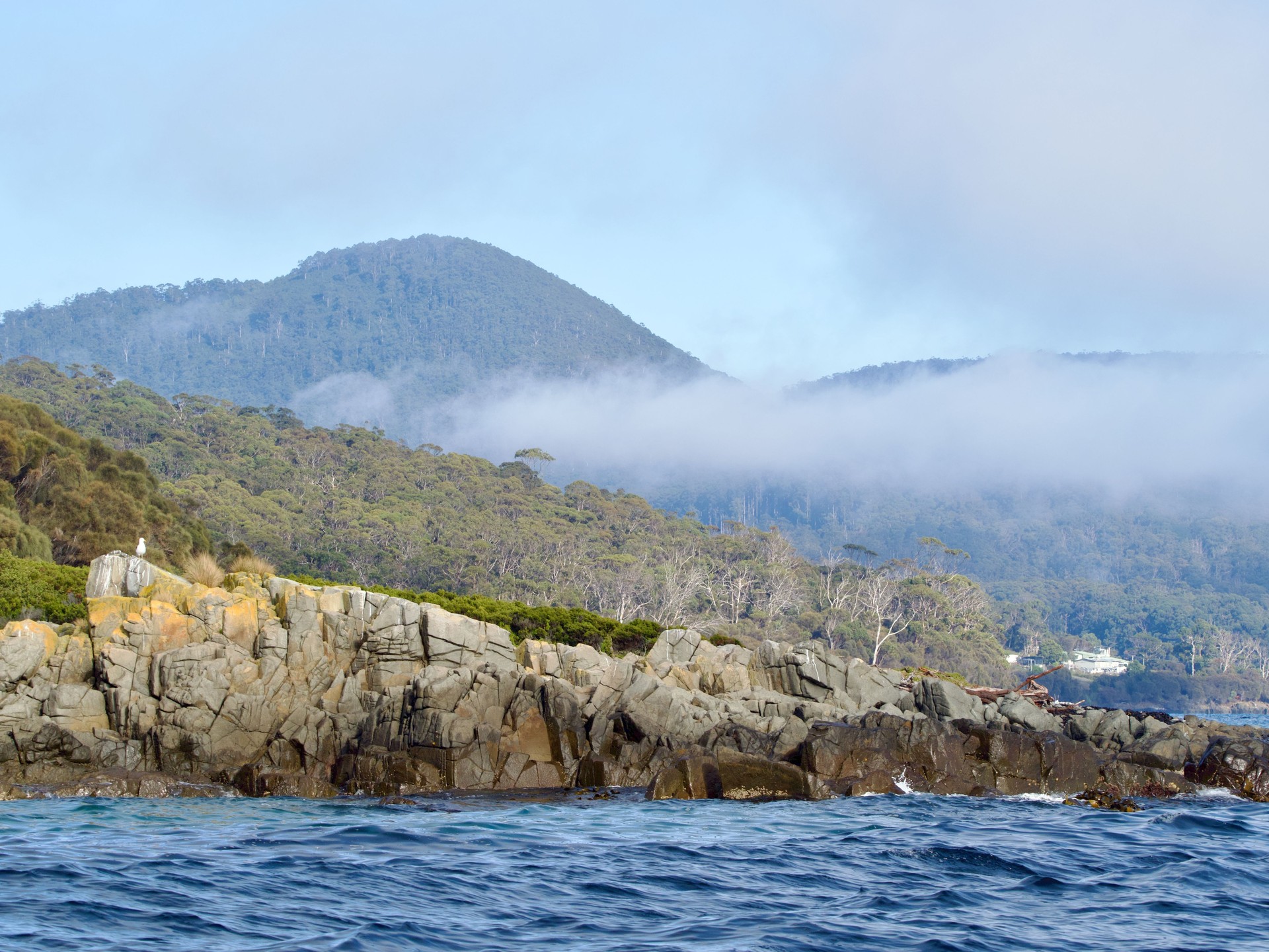 Bruny Island Winter Landscape